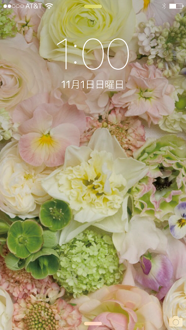 b0198033_154037.png