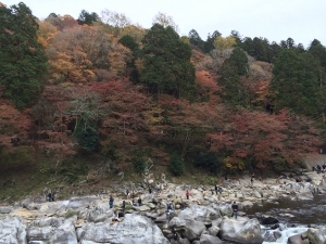 a0059035_00352350.jpg