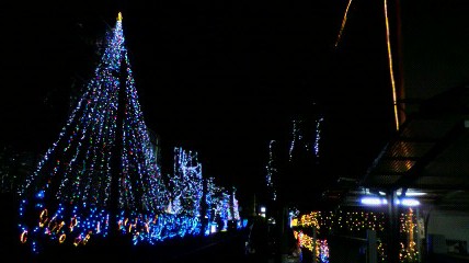 d0175151_0255493.jpg