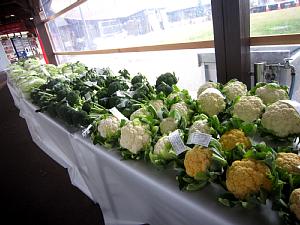 c0141652_1744345.jpg