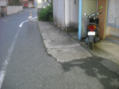 b0206463_10102169.jpg