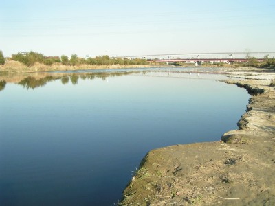 c0112172_2352366.jpg
