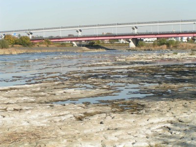 c0112172_2352466.jpg