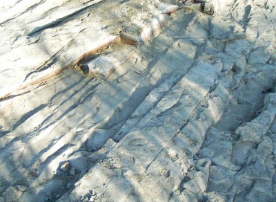c0112172_23525522.jpg