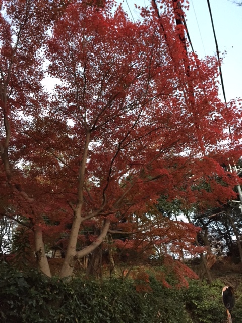 b0098477_8193711.jpg