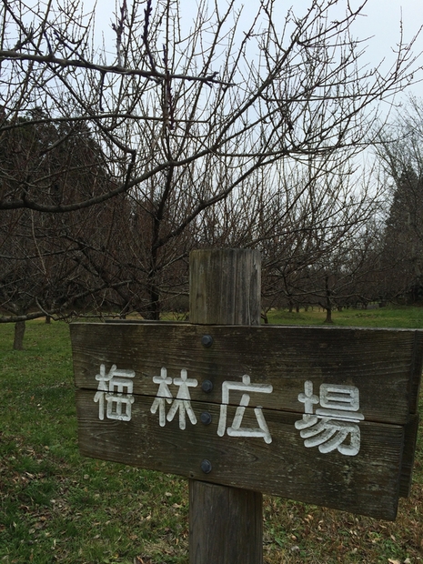 c0283778_17224829.jpg