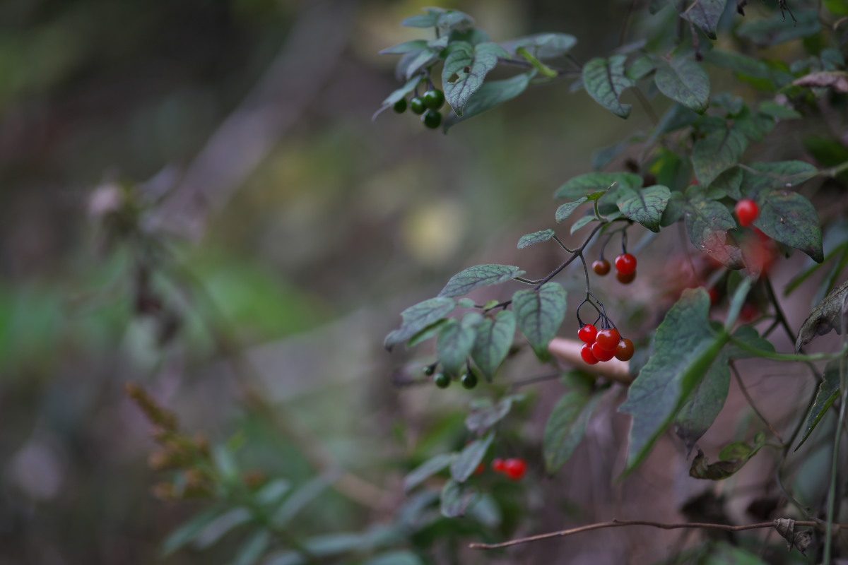 a0083081_21373240.jpg