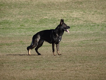 e0100584_05121.jpg
