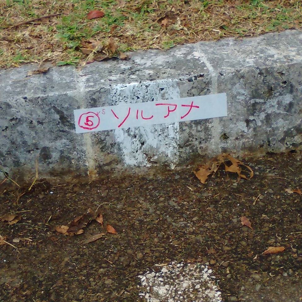 d0123793_18262940.jpg