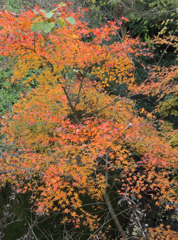 b0275998_1142365.jpg
