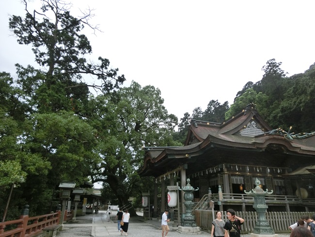 d0004301_8124651.jpg