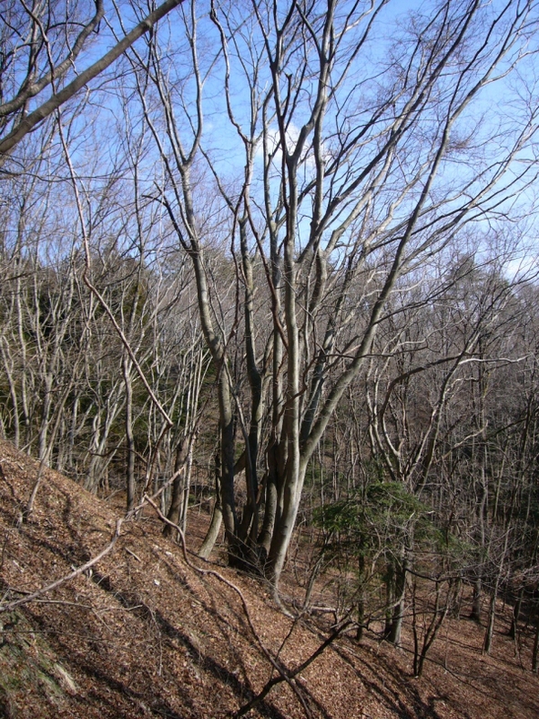 b0050305_22171955.jpg