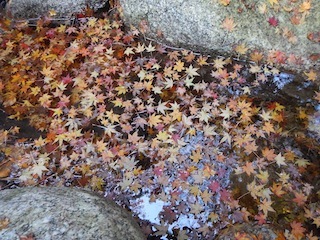 c0359615_21473535.jpg