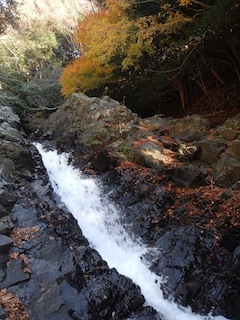 c0359615_21475723.jpg