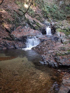 c0359615_21480861.jpg