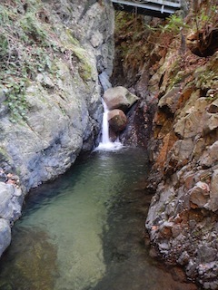 c0359615_21482033.jpg