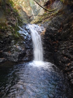 c0359615_21483140.jpg