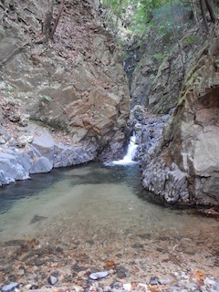 c0359615_21484168.jpg