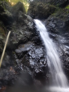 c0359615_21485412.jpg