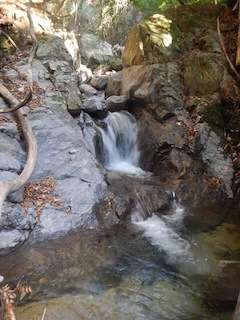 c0359615_21491866.jpg