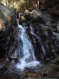 c0359615_21494880.jpg
