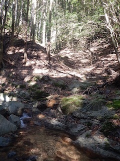 c0359615_21500040.jpg