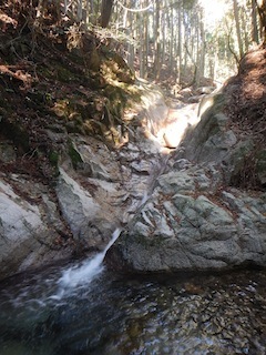 c0359615_21501399.jpg