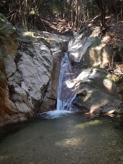 c0359615_21504350.jpg