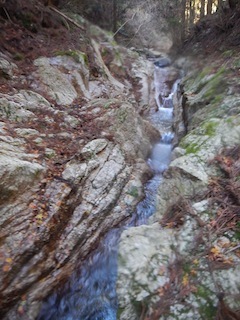 c0359615_21510701.jpg