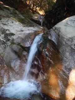 c0359615_21512005.jpg