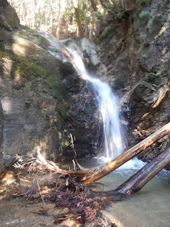 c0359615_21513463.jpg