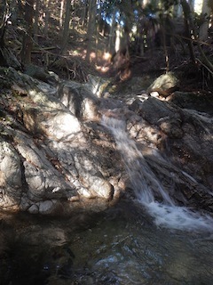 c0359615_21514916.jpg