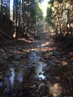 c0359615_21520278.jpg