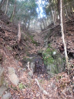c0359615_21521715.jpg