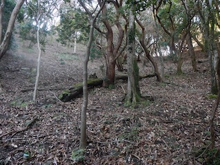 c0359615_21523317.jpg