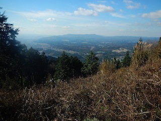 c0359615_21524557.jpg