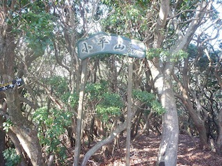 c0359615_21531236.jpg