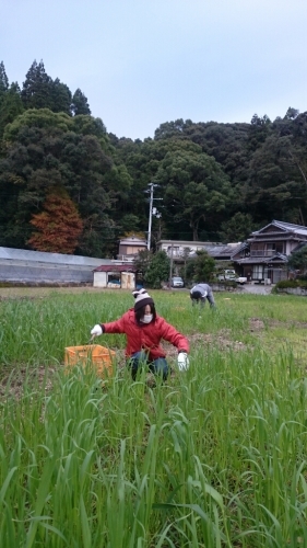 b0187620_20501700.jpg