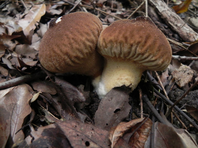 e0352220_14593625.jpg