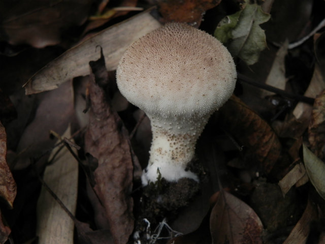 e0352220_15001190.jpg