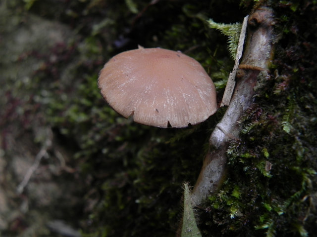 e0352220_15020121.jpg