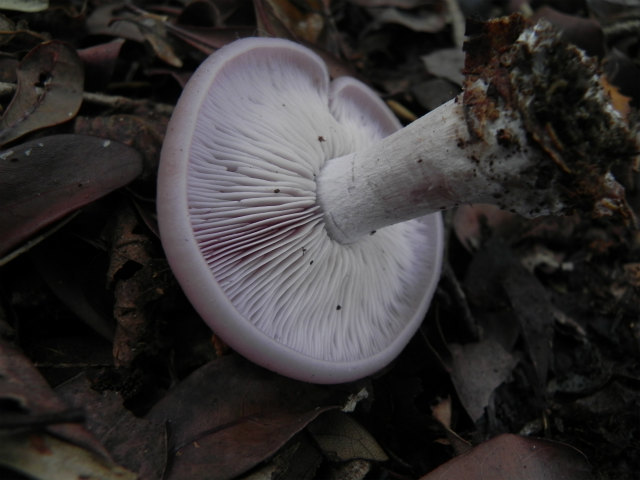 e0352220_15083545.jpg