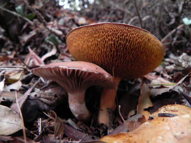 e0352220_15085450.jpg