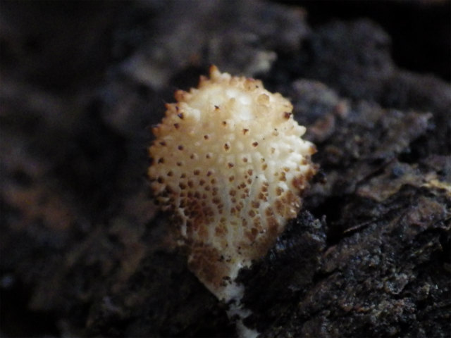 e0352220_15132734.jpg