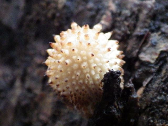 e0352220_15134507.jpg
