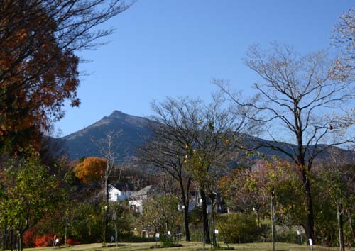 f0147025_18525737.jpg