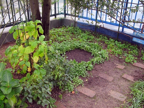 f0129726_21182423.jpg