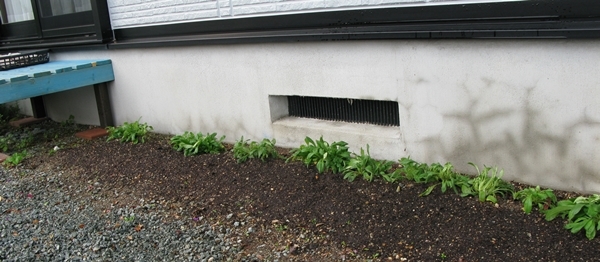 f0129726_21273153.jpg
