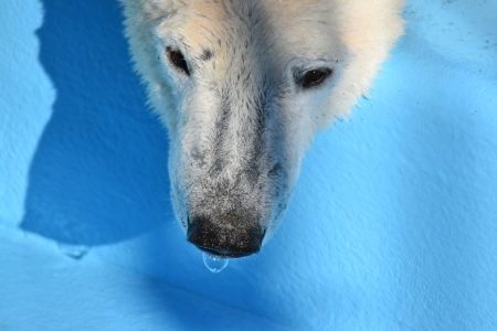f0344626_23584357.jpg
