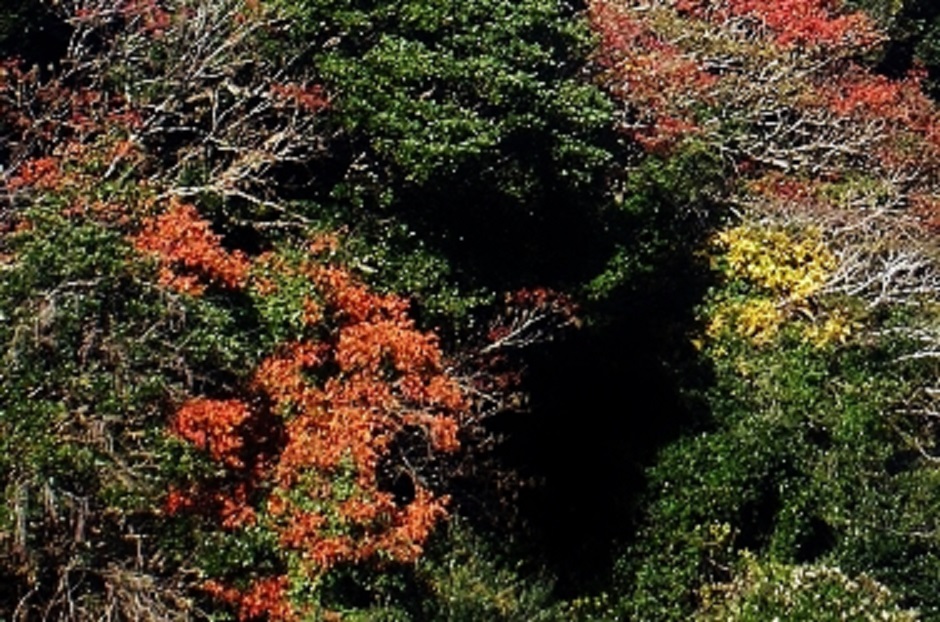 b0252727_14293660.jpg